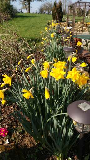 La Cloue B&B, Mayenne