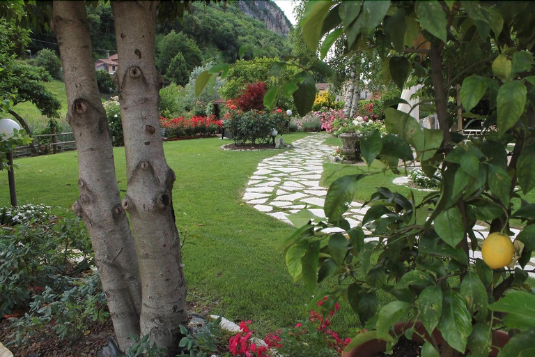 Exterior & Views 2, Hotel Calvi, Treviso