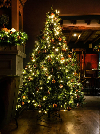 Public Area 4, The Vicarage Freehouse & Rooms, Cheshire East