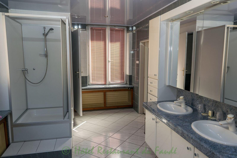 Bathroom 5, Hotel Restaurant le Faudé, Haut-Rhin