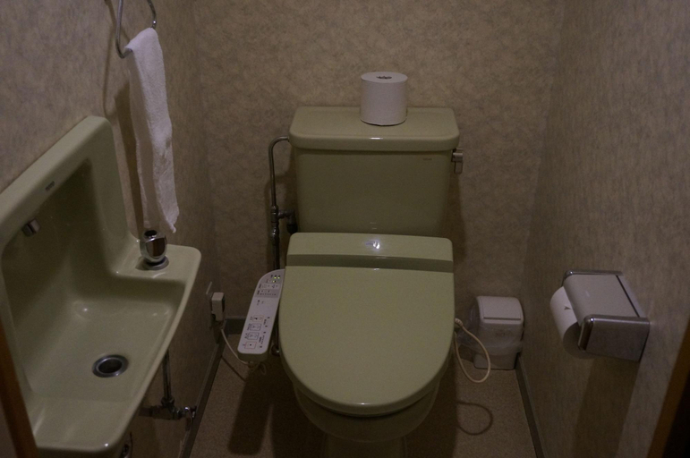 Bathroom 5, Shuzenji Onsen Hotel Takitei, Izu