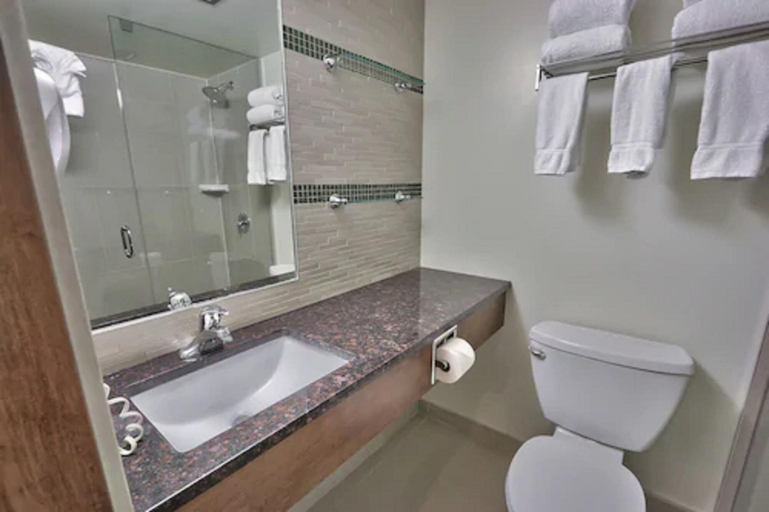 Bathroom 4, Blue Mountain Resort Inn, Grey