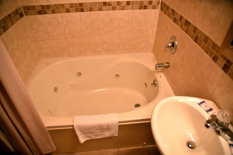 Bathroom 3, Swan Motel, Union
