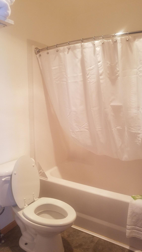 Bathroom 3, Howard's Motel, Platte