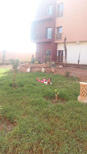 Public Area 3, Green Cactus, El Kelaâ des Sraghna