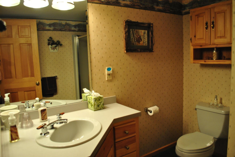 Bathroom 4, Horton Creek Inn B&B, Charlevoix