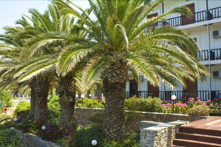Exterior & Views 2, Lena Beach Hotel, Crete