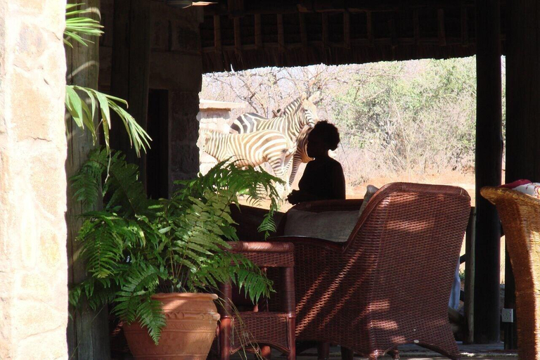 Public Area 3, Man Eaters Lodge, Voi