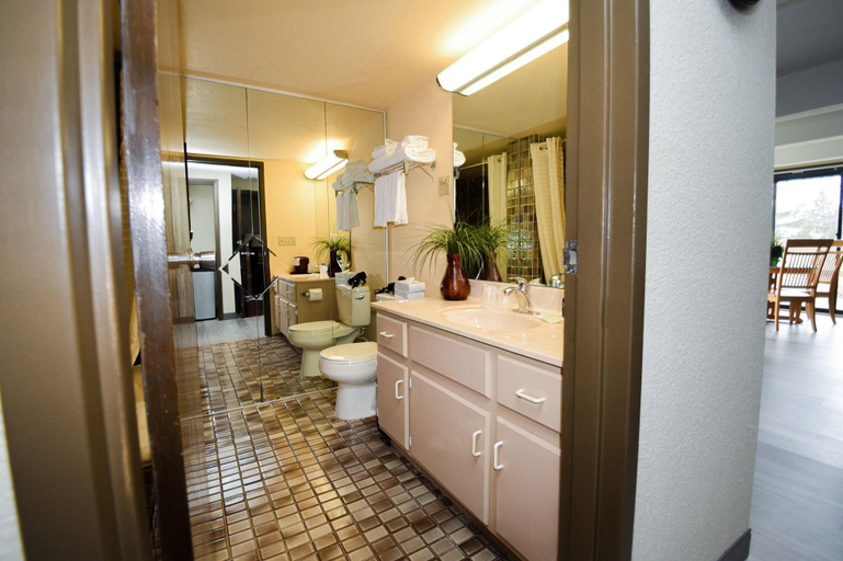 Bathroom 4, Par 5 Resort, Manitowoc