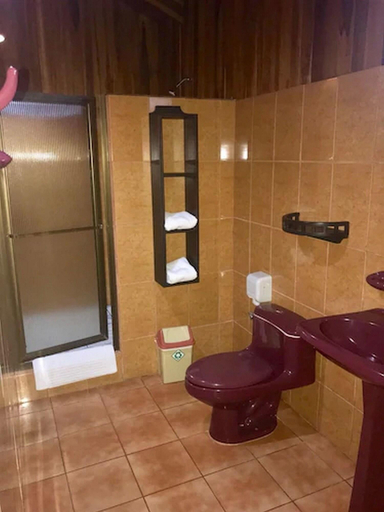 Bathroom 4, Hotel La Pradera Del Arenal, San Carlos
