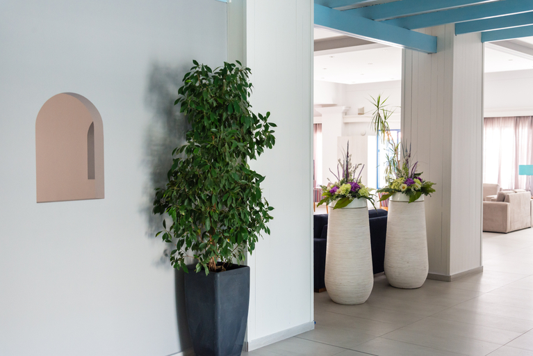 Public Area 3, Kefalos - Damon Hotel Apartments
