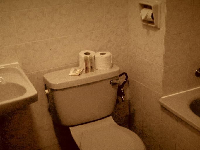 Bathroom 4, KPW at Greenhill Resort, Cameron Highlands