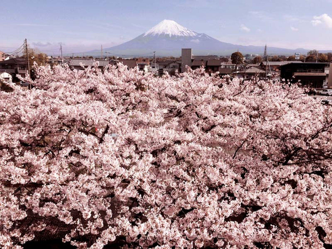 Exterior & Views, Fuji Park Hotel, Fuji