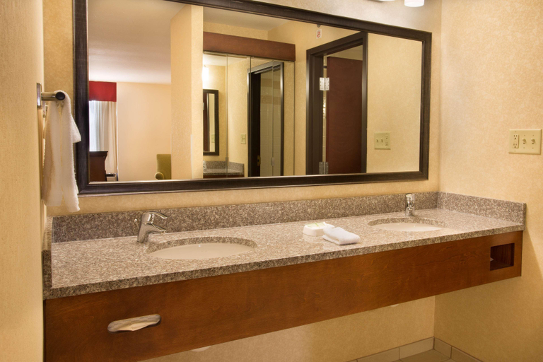 Bathroom 4, Drury Inn Suites Charlotte University Place, Mecklenburg