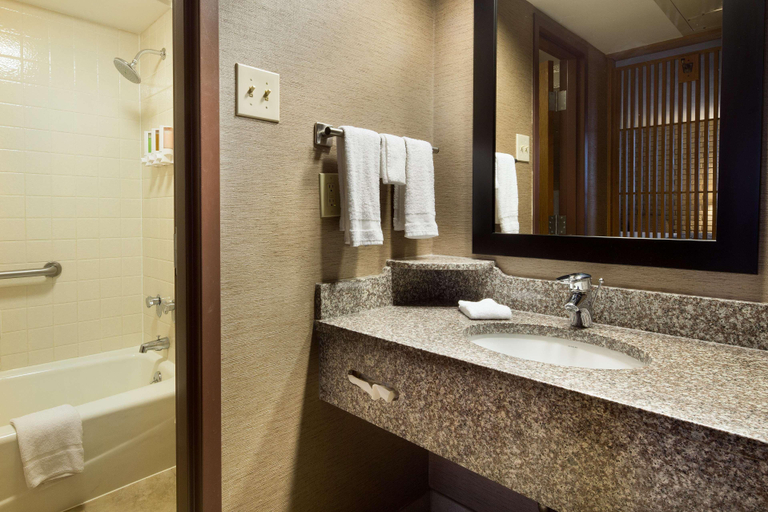 Bathroom, Drury Inn Mobile, Mobile