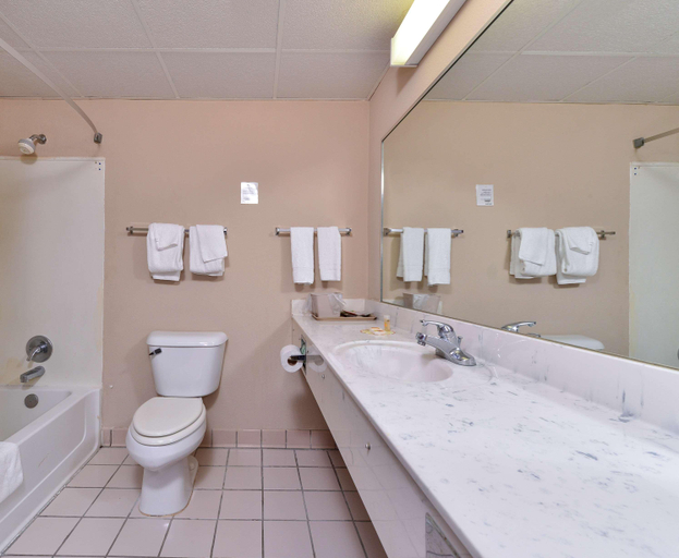 Bathroom, Econo Lodge Inn & Suites Warsaw, Duplin