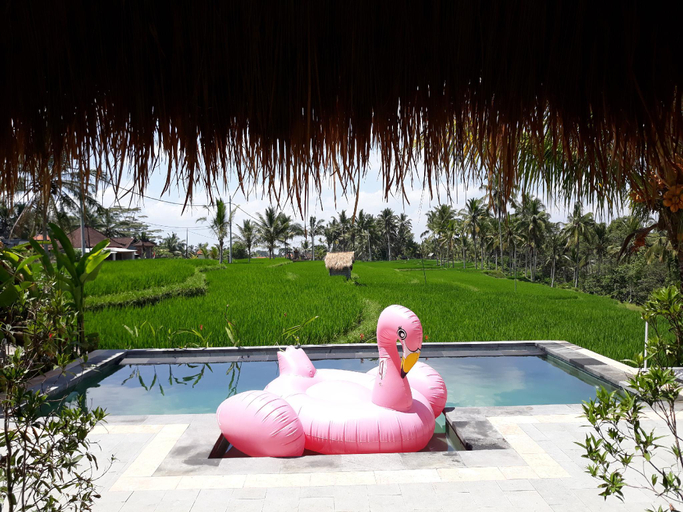 Sport & Beauty 4, Dukuh Village Homestay & Villas, Gianyar
