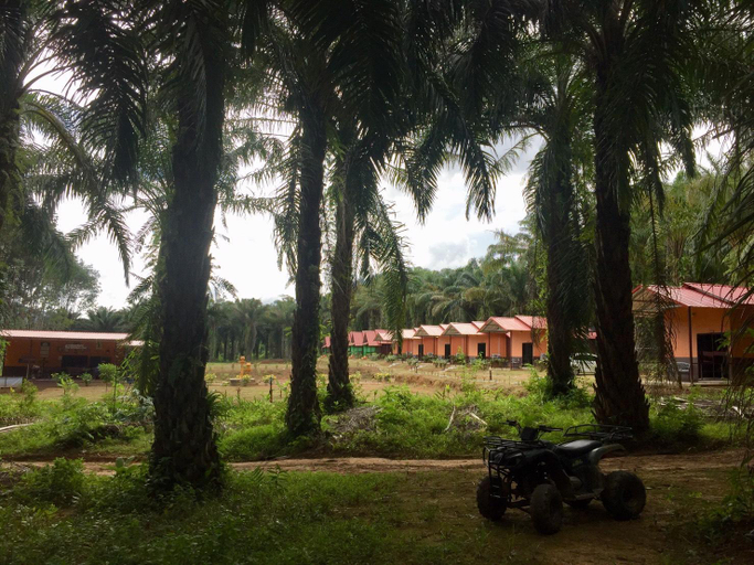 Exterior & Views 2, Khao Sok Evergreen House, Phanom