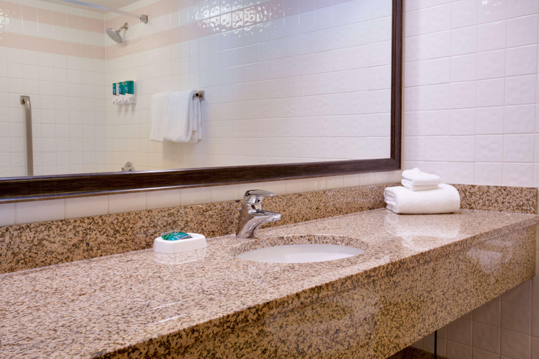 Bathroom, Drury Inn & Suites Convention Center, Saint Louis