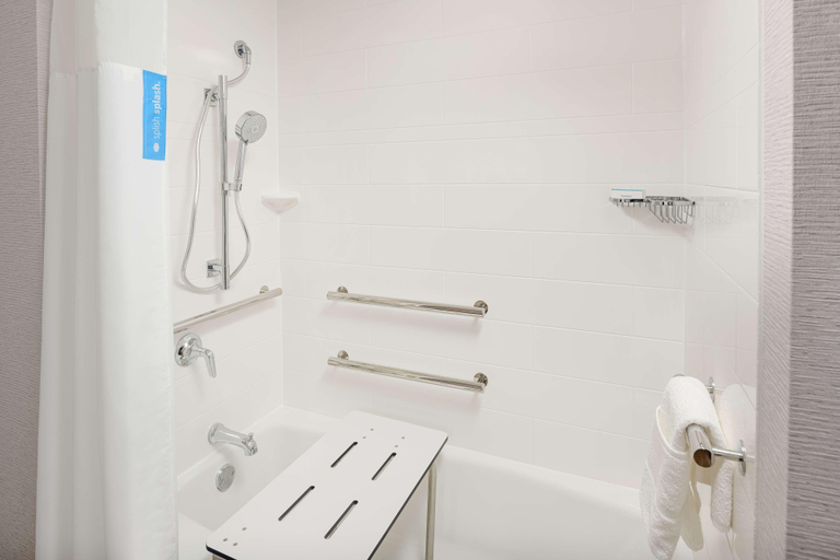 Bathroom 4, Hampton Inn Blue Ridge, Fannin
