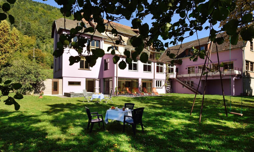 Exterior & Views 2, Logis Hotel Des Vosges, Haut-Rhin
