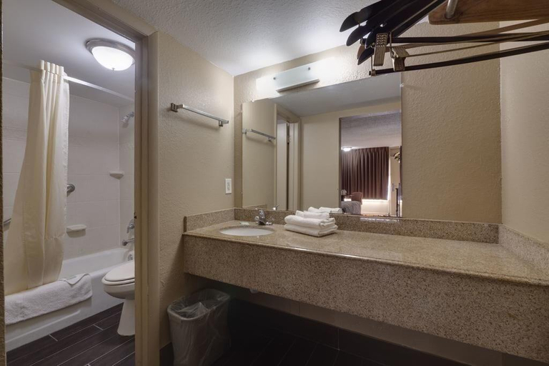 Bathroom, Countryside Inn & Suites Orlando, Orange