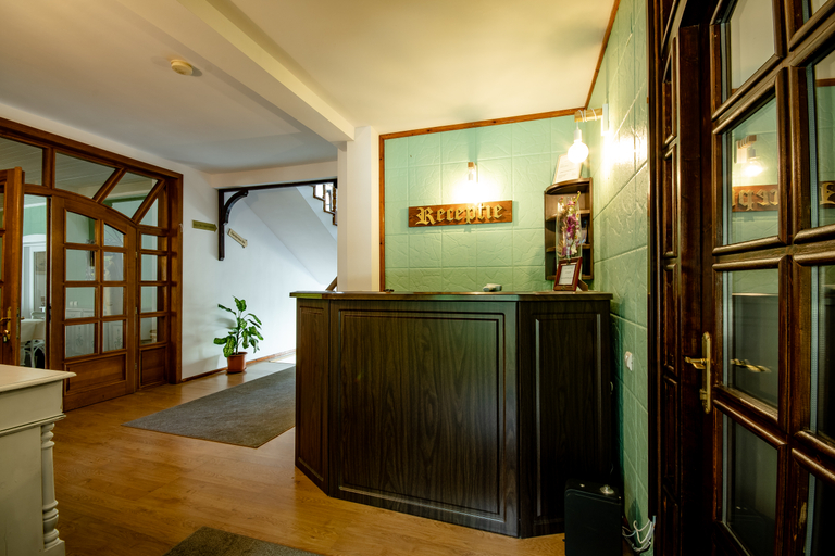 Public Area 2, Vila Zorile, Brasov