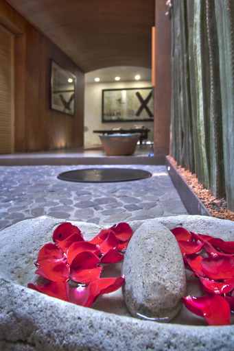 Exterior & Views 2, Casa Carmen Reforma, Del Centro