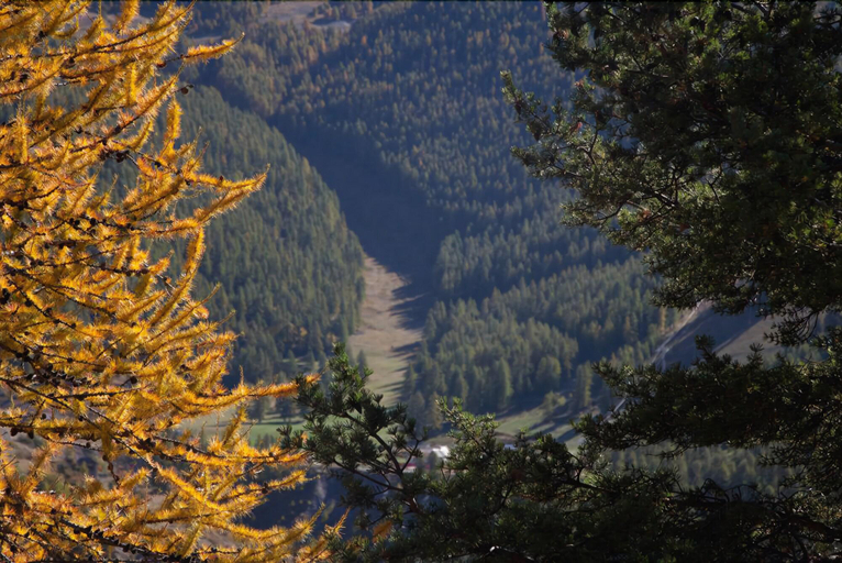 Exterior & Views 3, Le Chalet d'Auron, Alpes-Maritimes