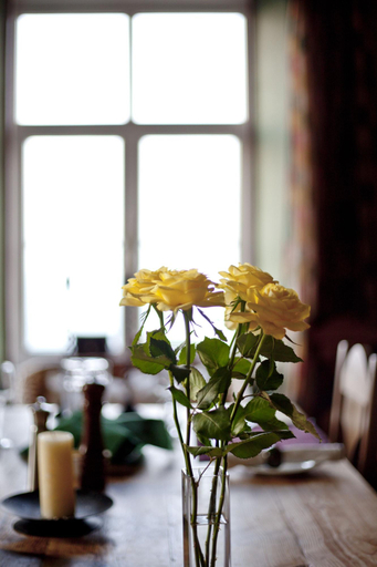 Food & Drinks, North Walk House - B&B, Devon