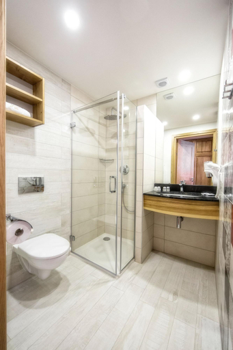 Bathroom 4, Gold Hotel, Tatra