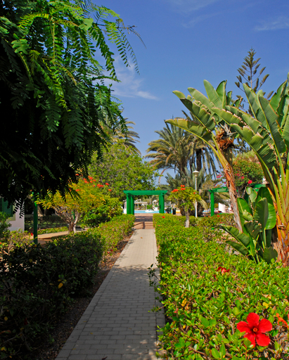 Others 5, Bungalows Cordial Sandy Golf, Las Palmas