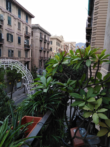 Exterior & Views 2, Medusa B&B, Palermo