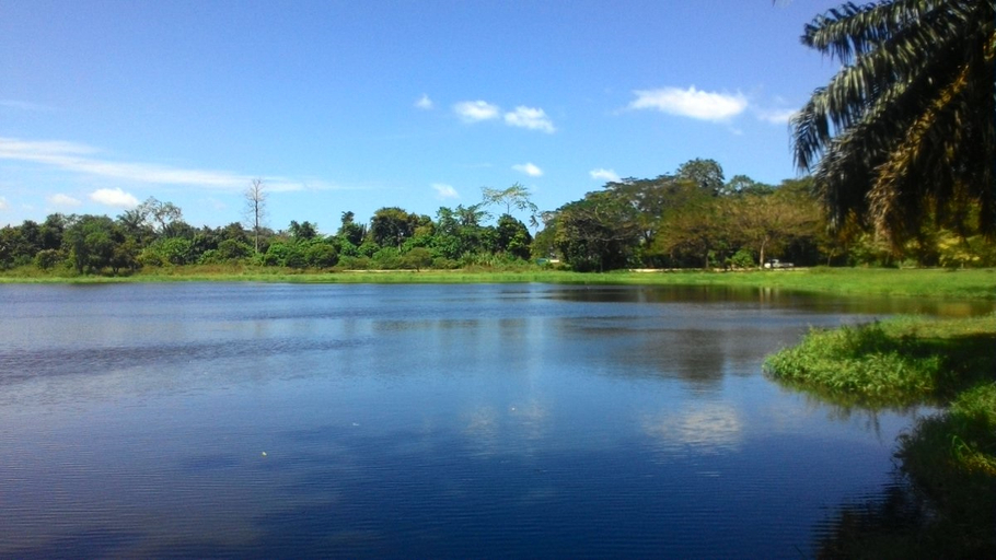 Exterior & Views 3, 1108 Carebin Tasik YDP, Batang Padang