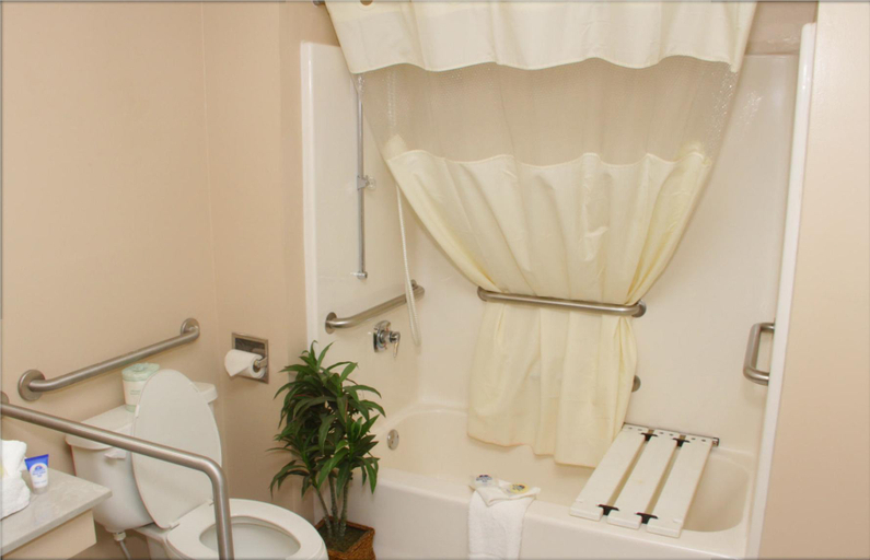 Bathroom 4, Americas Best Value Inn Rome, Floyd