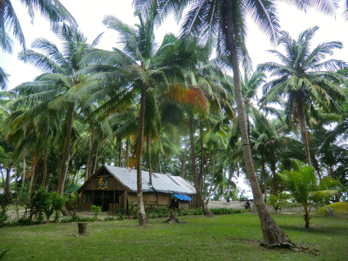 Others 5, Emerald Gecko Resort-Havelock Island, South Andaman