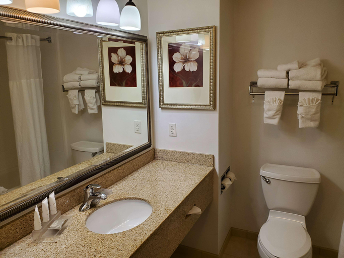 Bathroom 4, Country Inn & Suites by Radisson, Braselton, GA, Barrow
