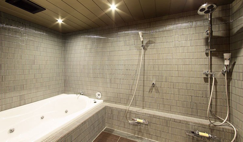 Bathroom 3, Gion Ryugin, Kyoto