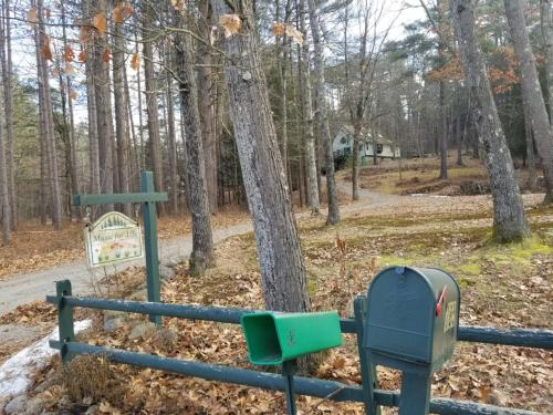 A Healing Forest Space in the Heart of New England, Franklin