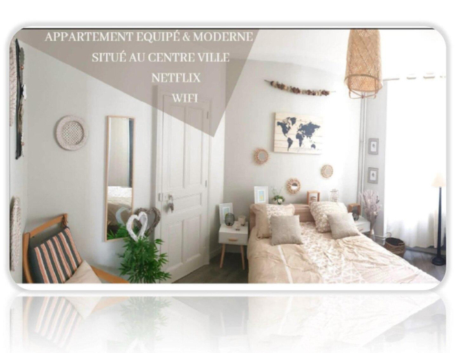 Bel Appartement hypercentre de Blois, Loir-et-Cher