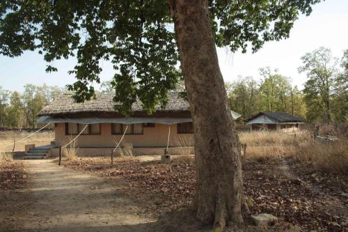 Atulya Kanchi Camp Bandhavgarh National Park Private Cottage 3, Umaria
