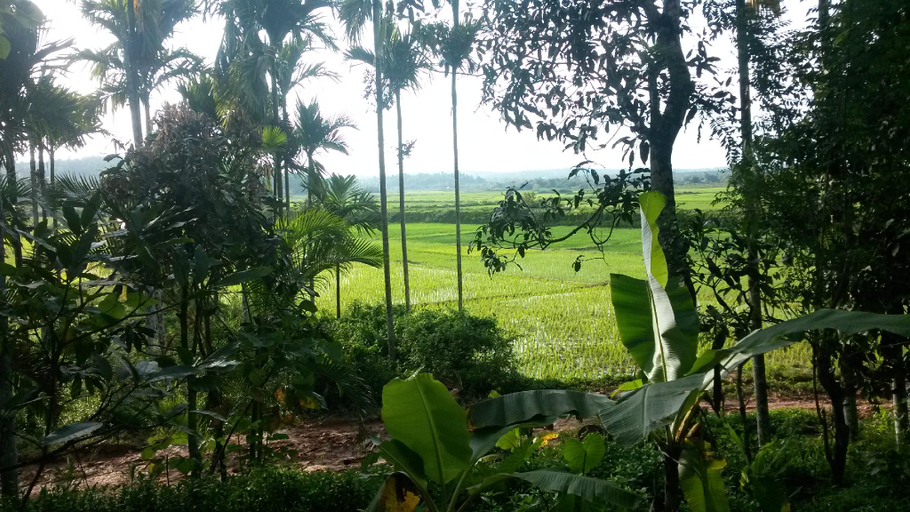 Others 5, Twin villa, Wayanad
