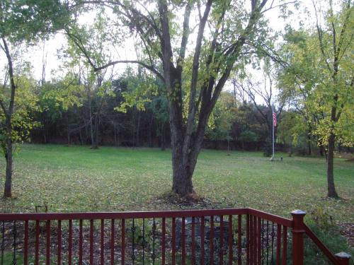 One Bedroom Apartment in Whitehouse Station, Hunterdon