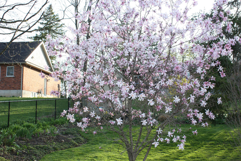 Others 3, Carrousel Bed & Breakfast, Haldimand-Norfolk