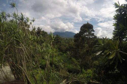 Nirmala Valley, Bogor