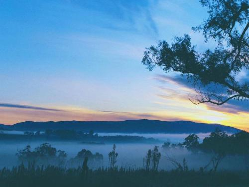 Ferndale Creek Estate, Yarra Ranges - Seville
