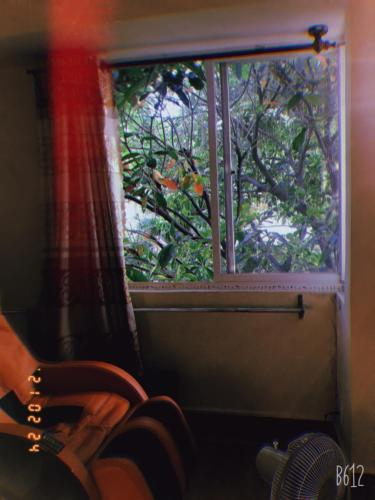 Homestay sang trong, Thuận An