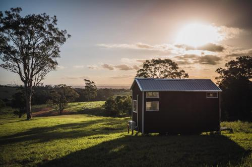 Little Magic on Magic Mountain, Shoalhaven - Pt B