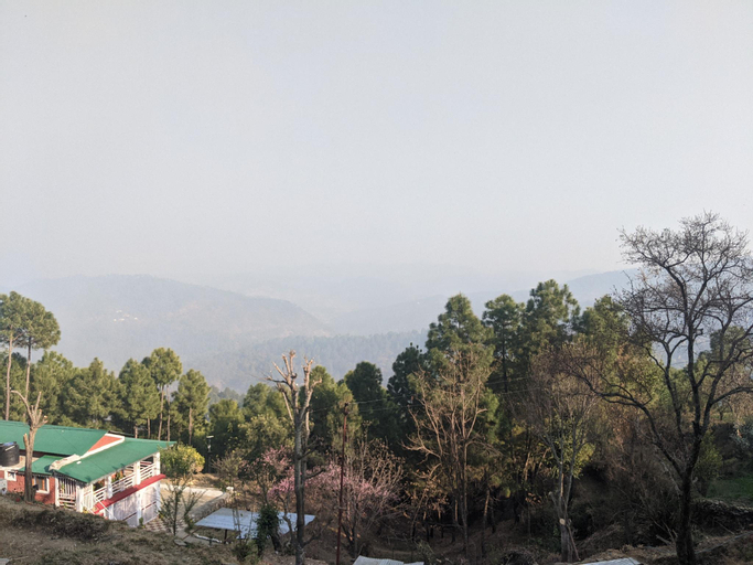 Single Room, Almora