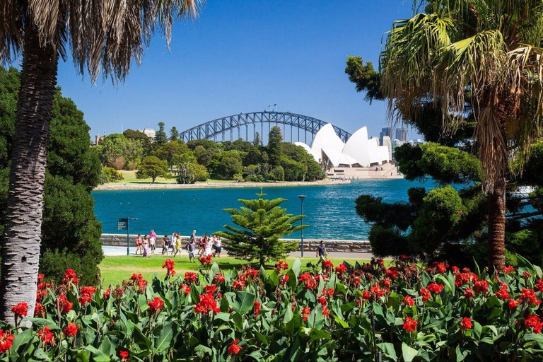 Others 4, A Cozy & Stylish Studio, 5min walk to Bondi Beach, Sydney